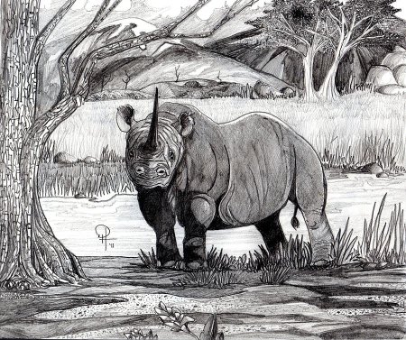 Среды жизни