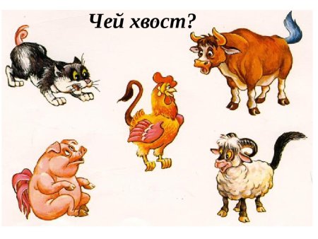 Домашние животные для детей