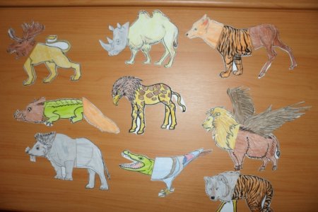 Животные из разных частей