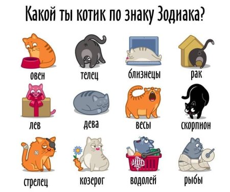Кот по знаку зодиака