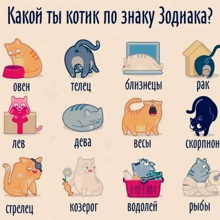 Котики по знаку зодиака