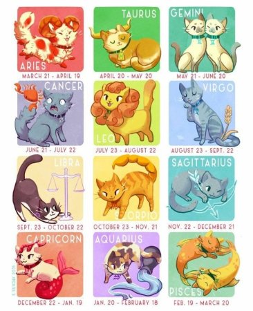 Знаки зодиака кошки