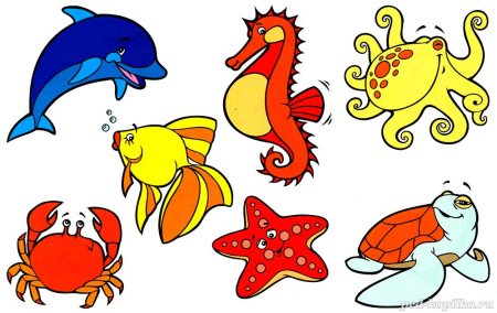 Морские жители для дошкольников