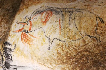 Пещера Шове наскальные рисунки