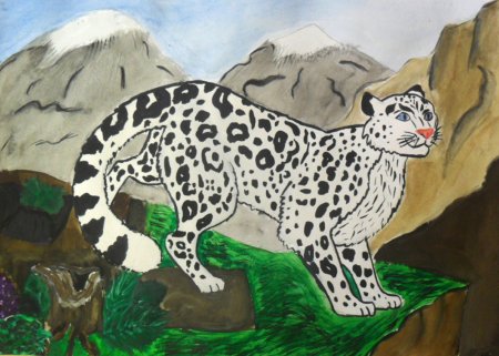 Рисунки животных из красной книги
