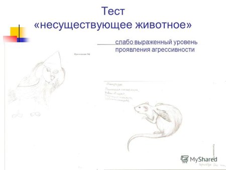 Тест несуществующее животное