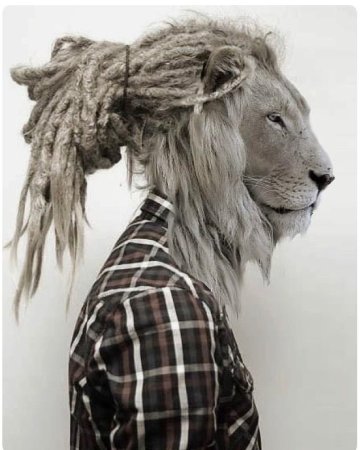 Человек животное арт