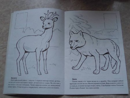 Рисунки животных красной книги для детей