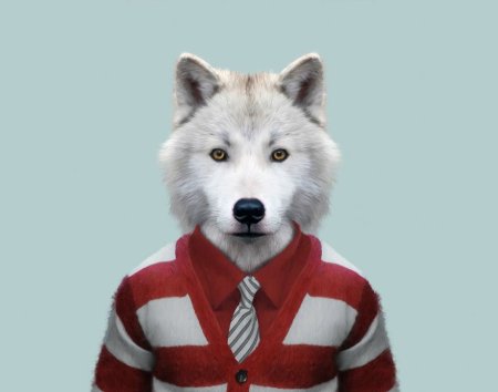 Кот в человеческой одежде