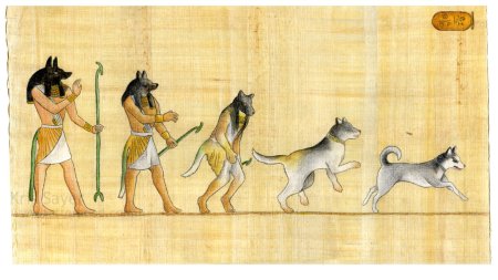 Животные с человеческим телом