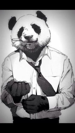 Каджит Ягуар