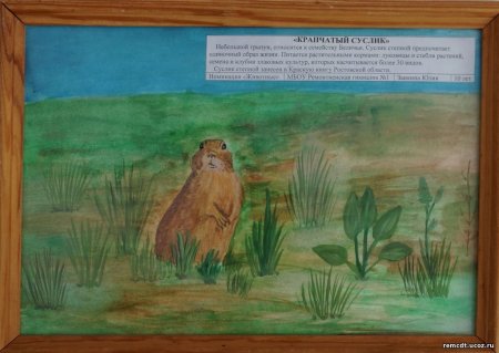 Рисунок на тему красная книга глазами детей