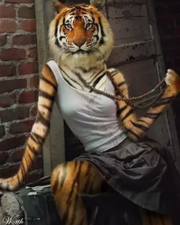 Yago partal Zoo portraits