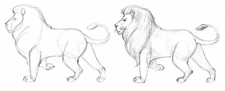 Уроки рисования Льва
