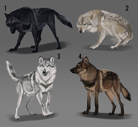 Девиантарт адопты Волков