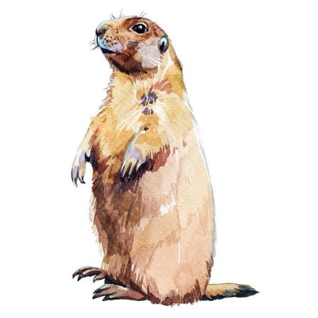 Животные акварелью в полный рост