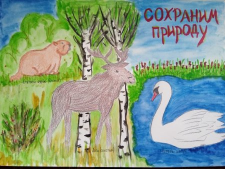 Рисунок сохраним природу