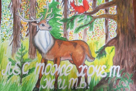 Рисунок на тему заповедник