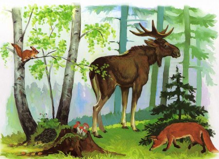 Иллюстрации с дикими животными