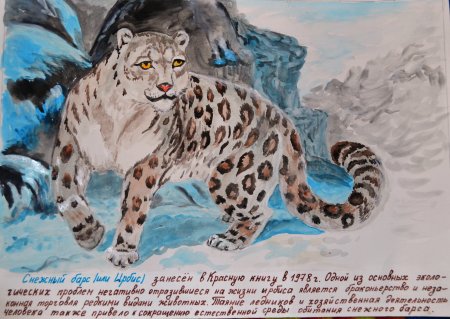 Снежный Барс красная книга