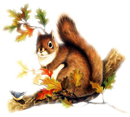 Животные осенью