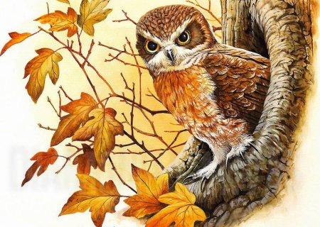 Вышивка Сова крестиком набор