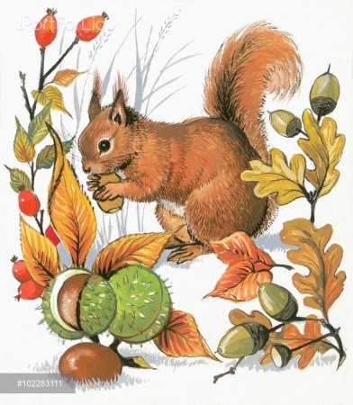 Иллюстрации для детей белки осенью