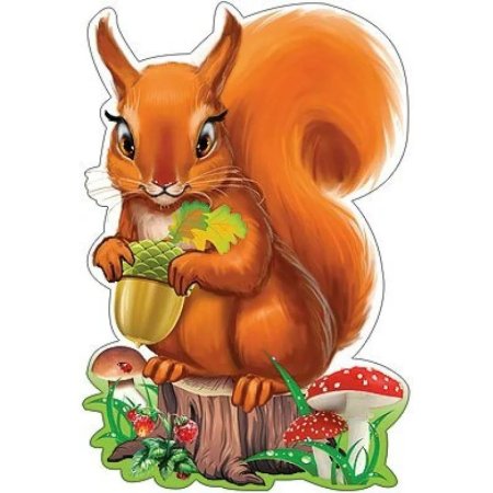 Белочка рисунок