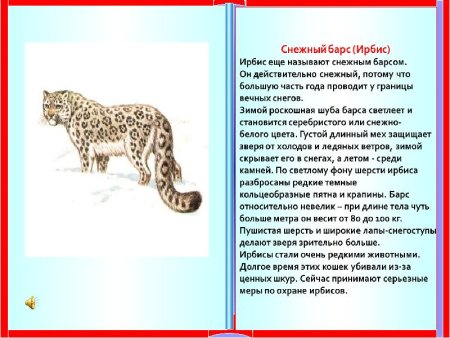 Доклад о животных из красной книги