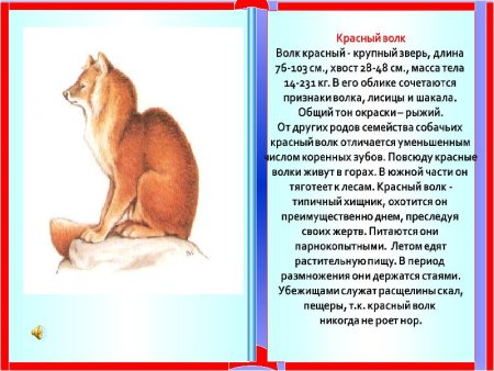 Животное из красной книги России