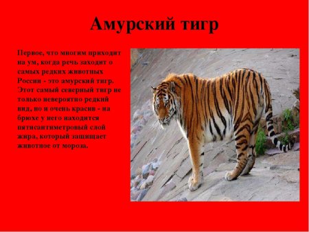 Красная книга России. Животные