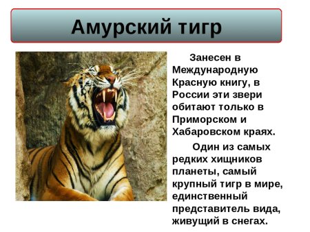 Животныекрассной книги