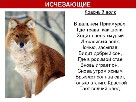 Красная книга России. Животные