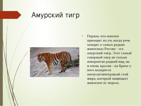 Животные из красной книги