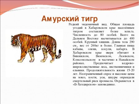 Красная книга для детей животные