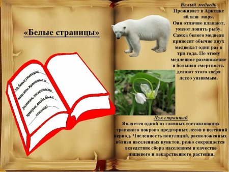 Белые страницы красной книги