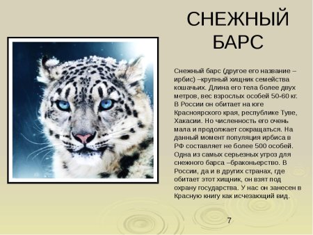 Доклад о редких животных занесенных в красную книгу