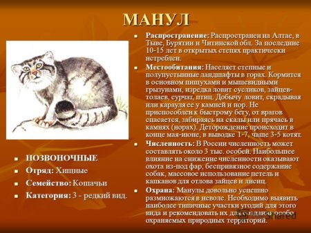 Животные из красной книги 2 класс