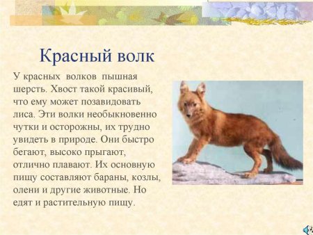 Красный волк красная книга рассказ