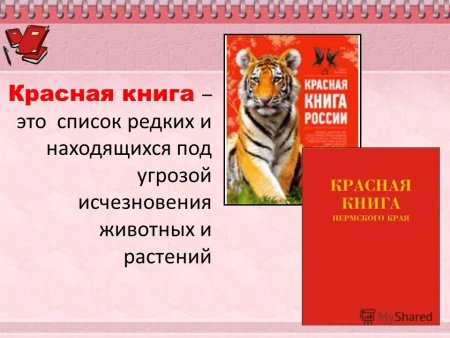 Животный красной книги России