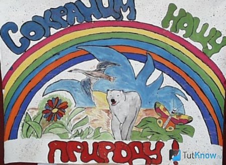 Рисунки заповедника детские