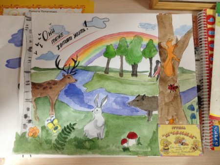 Рисунок по охране природы