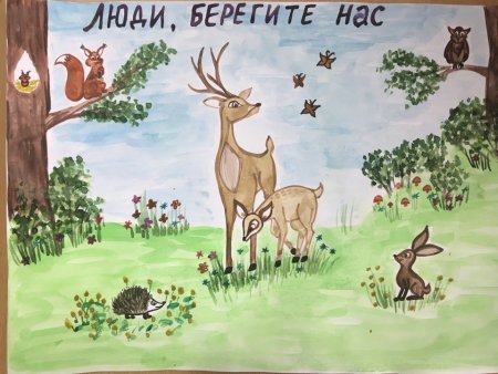 Рисунок на тему защита природы