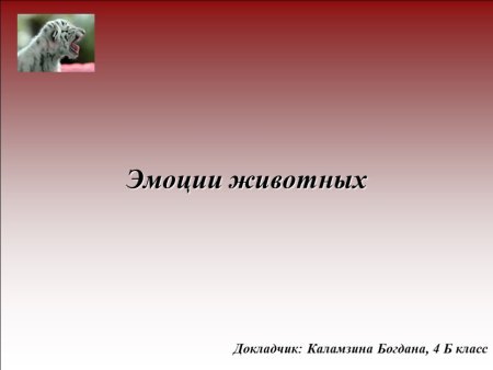 Эмоции животных доклад