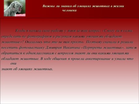 Эмоции животных интересные факты