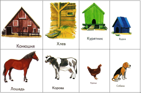 Жилище домашних животных