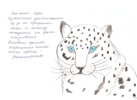 Рисунки редких животных