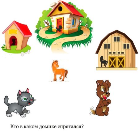 Жилища домашних животных