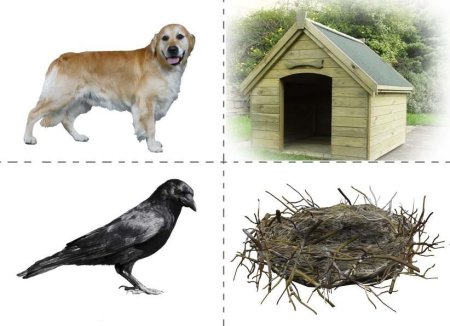 Кто в каком домике живет у кого какой домик