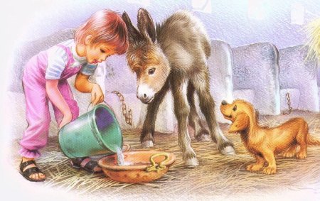 Связь растений и животных